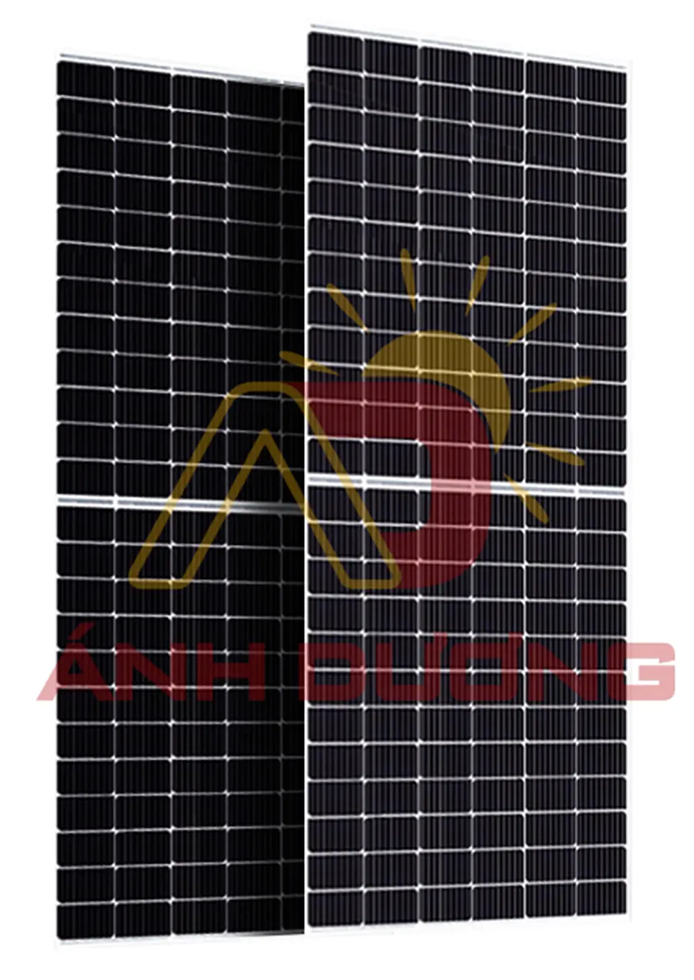 Tam pin canadian - ANH DUONG INVEST CORPORATION