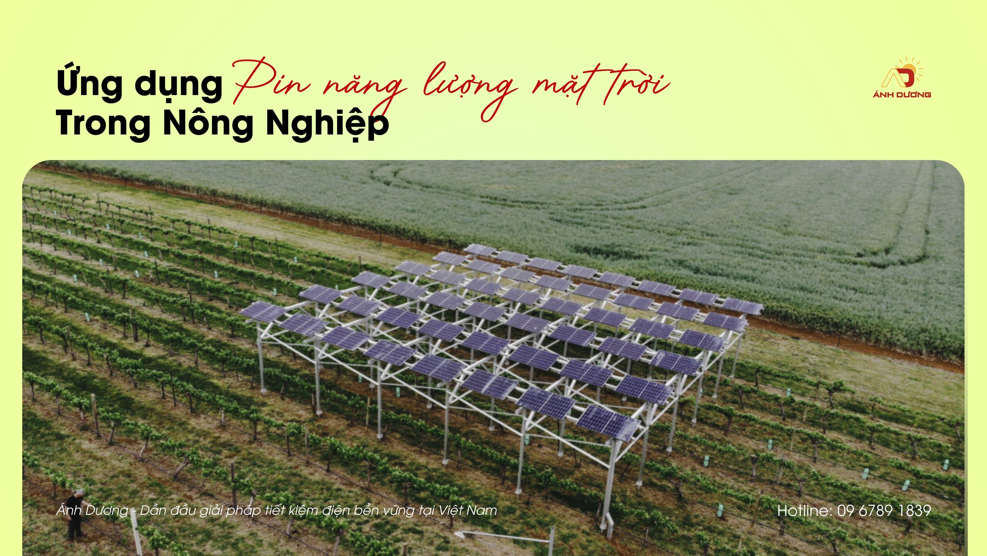Tích Hợp Pin Năng Lượng Mặt Trời Trong Nông Nghiệp